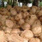 Ramamoorthy Coconut Wholesale in Pondicherry listed in Suppliers