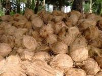 Ramamoorthy Coconut Wholesale in Pondicherry listed in Suppliers